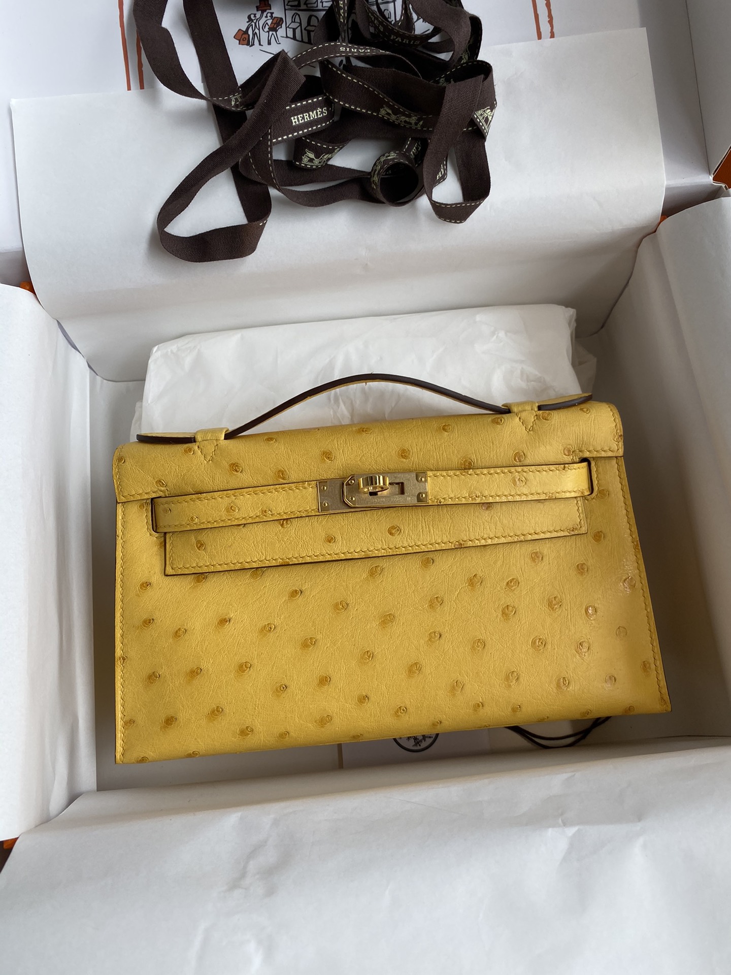 Hermes Mini Kelly Pochette 22cm Bag In Yellow Ostrich Leather